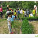 제일초등학교(병설) 네이버블로그