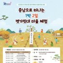 태안방주염전갯벌체험장