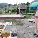 박석순농장 이미지