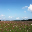 경포저류지 이미지