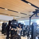 싸피엔스 짐 이미지