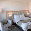 소노캄 고양 이미지