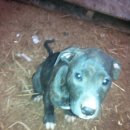 오공농장 이미지