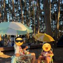 월암리 복지관옆 공중화장실 | 보령 용두 해수욕장 당일치기 가족 피크닉, 한적한 로컬 해변의 매력