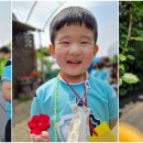 그리심농장 이미지