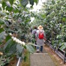 동백커피 이미지