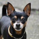 메종동물병원 이미지