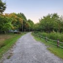 나무고아원 이미지