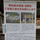 방방곡곡 우리 문화유산 여행 | [일본 나라 여행] 사슴과 함께 하는 세계문화유산 '카스가 타이샤(春日大社)' 아침 산책