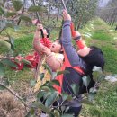 하서초등학교 이미지