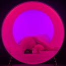 금성로4(동) | 강릉여행일지 총합편! 강릉역 주변 내돈내산 4월~5월 여행코스 추천! 먹거리/액티비티/전시/호텔숙소...