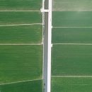 물의 기억 이미지