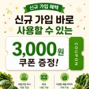 영자네