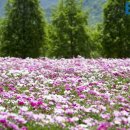 합천푸드뱅크 이미지