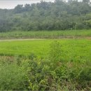 대구지방법원 영덕지원 이미지