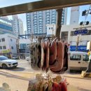 한일동물병원 | [마산회원구] 한일동물병원 진료후기, 동물병원 진료 잘하는 곳