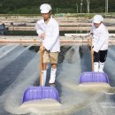 칠산식품 이미지