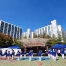 드래곤태권도 이미지