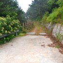 추봉도바다펜션 이미지