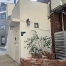 달콤아이카페