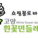 사리현농장 이미지