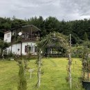 춘기의 집 이미지