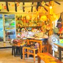 공새미 온 이미지