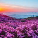 여주-1108 이미지