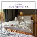 [2024] 소노펫 비발디파크 내돈내산 후기 / 고기 구워주는 굿앤굿즈 마트/애견동반 강원도 홍천 여행 :)