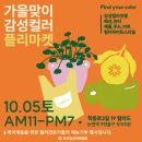 컬러플리 이미지