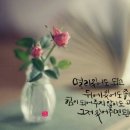 거기우리 이미지