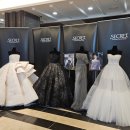 쇼호텔 | 아베끄 드레스쇼 방문후기(여수 JCS호텔)