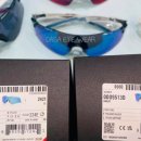 디노사이버 이미지