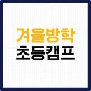 버디골프스쿨 | 2026 겨울방학 캠프 초등, 뉴질랜드+호주 동시 경험 후기
