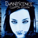 Bring Me To Life(Live) / Evanescence 이미지