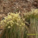 우암산등산로1 이미지