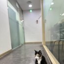 유캔학원 | 부산대토익학원 부산대 파고다 유캔토익 진심 후기