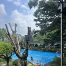 전주 완주군 한식ㅣ 대아 관광농원 : 전주 근교 운주계곡 물놀이 장소 평상비 무료