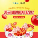 아이스크림민족 네이버블로그