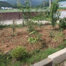 열무농장 이미지