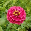 12월22일 이미지