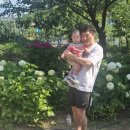 수안 | 김해 수국 아기랑 다녀온 수안마을 축제 후기