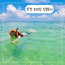 푸켓 아이와 피피섬 호핑투어 후기｜카이섬·마야베이·필레라군까지 하루 코스