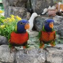 동물치유쉼터 이미지