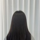 헤어리움(HAIR RIUM)
