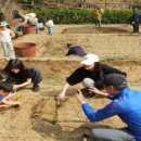 친환경나눔텃밭 이미지