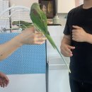 아쿠아쿠 | 동탄카페 물고기 아쿠아쿠 후기
