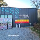 경기도실내동물원 곤충체험 동물먹이주기 알찬 코스 굼프로 곤충체험학습농장 방문 후기
