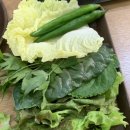 민교호프 이미지