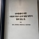 걸작품 | 청주 과잉진료 없는 동물병원 봉명동 달동물병원 - 강아지 건강검진 후기 및 동물병원 방문 후기